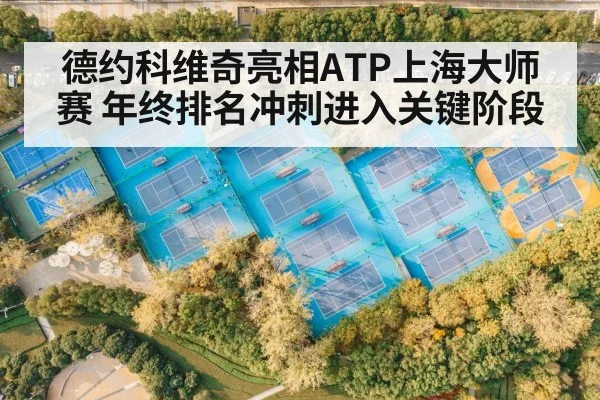 德约科维奇亮相ATP上海大师赛 年终排名冲刺进入关键阶段 | kaiyun